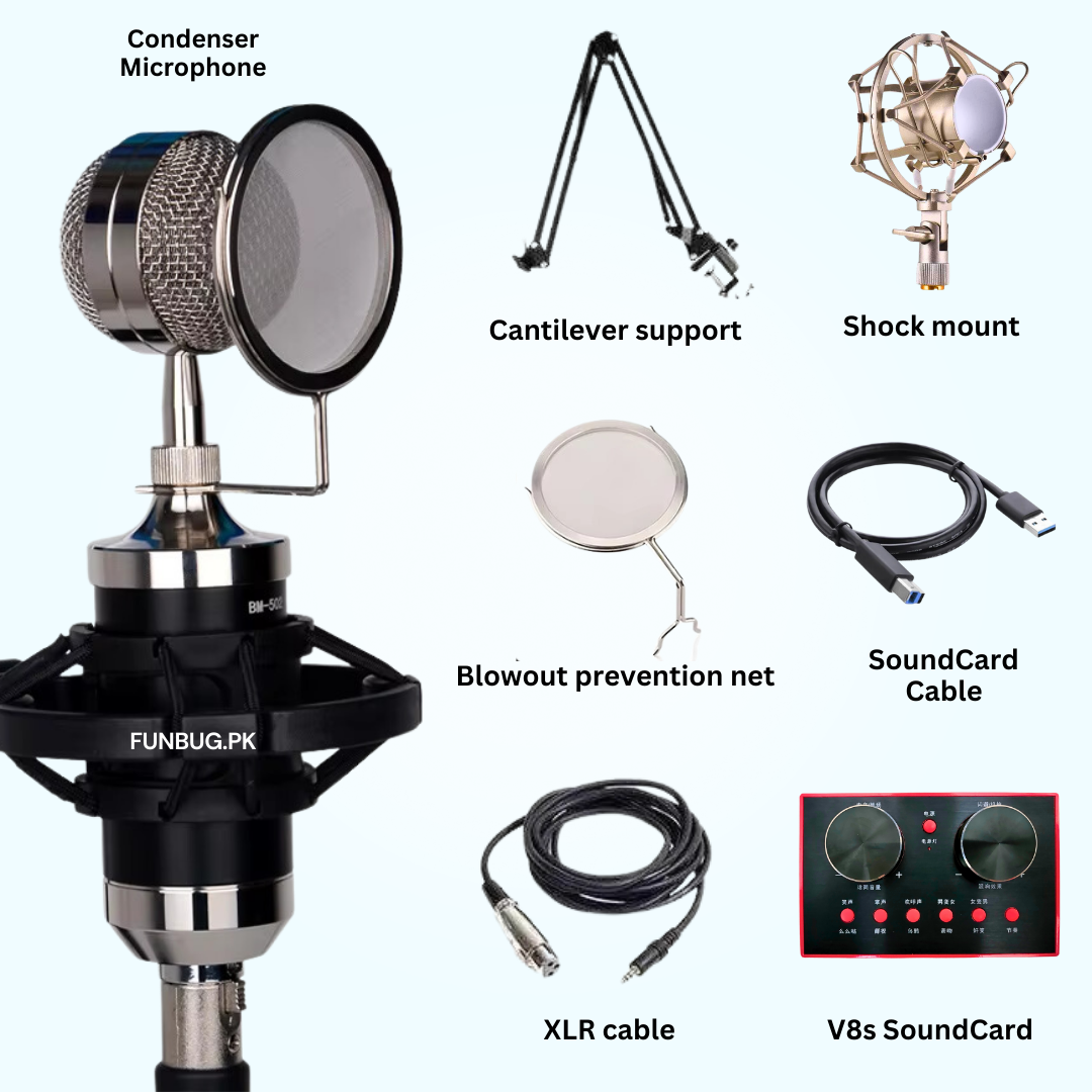 Vintage Microphone Kit